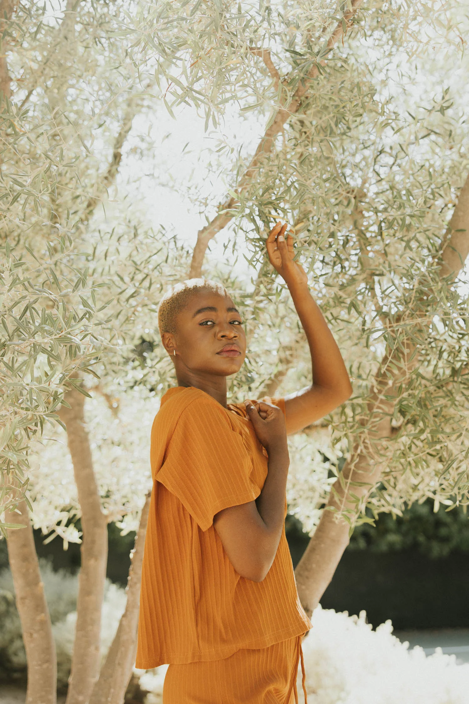 Monterey Top in Rust | Women's Ribbed Tee - Image 5